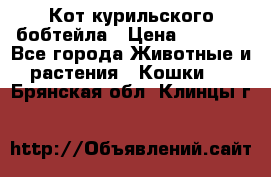 Кот курильского бобтейла › Цена ­ 5 000 - Все города Животные и растения » Кошки   . Брянская обл.,Клинцы г.